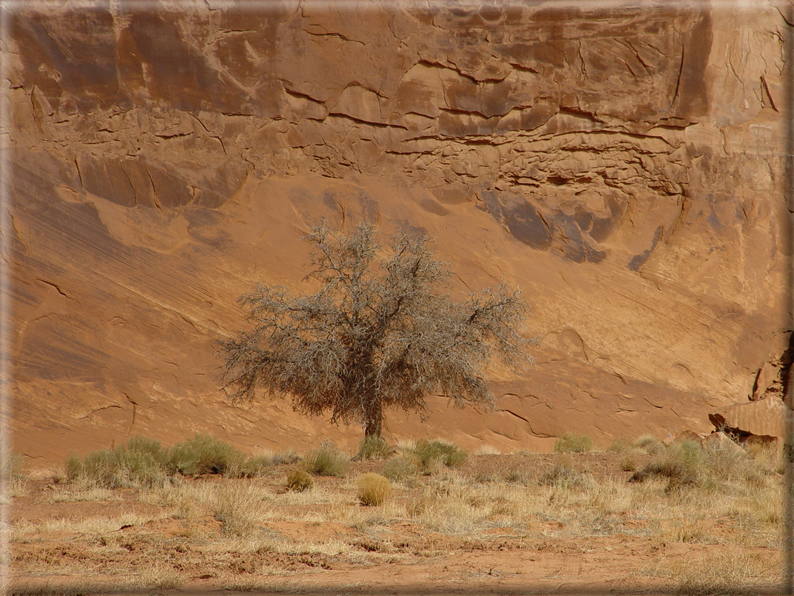 foto Terra dei Canyon